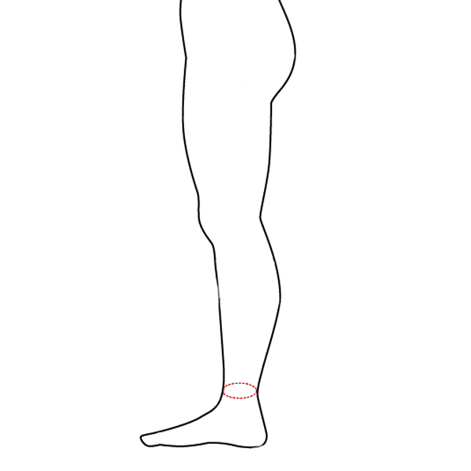 Ankelbandage størrelsesguide